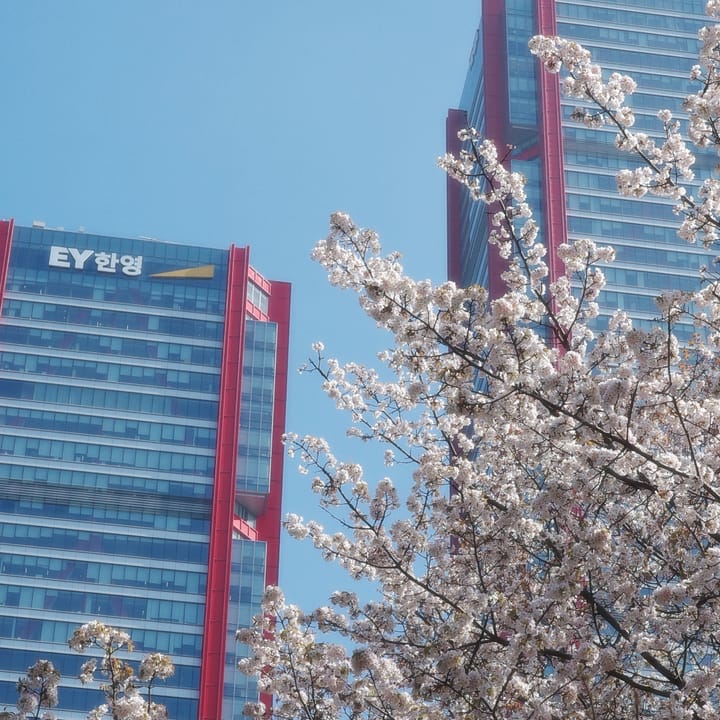 A single 20 MB HTTP request can effectively stall a Django server for 1 minute (CVE-2026-33033)